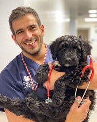 Dr. Marcus Lee