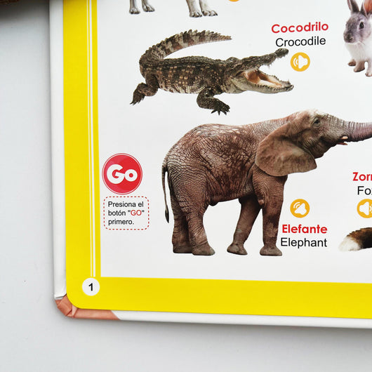 Libro Educativo Interactivo en Español para Niños