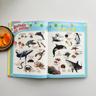 Spanish Interactive Educational Book for Kids