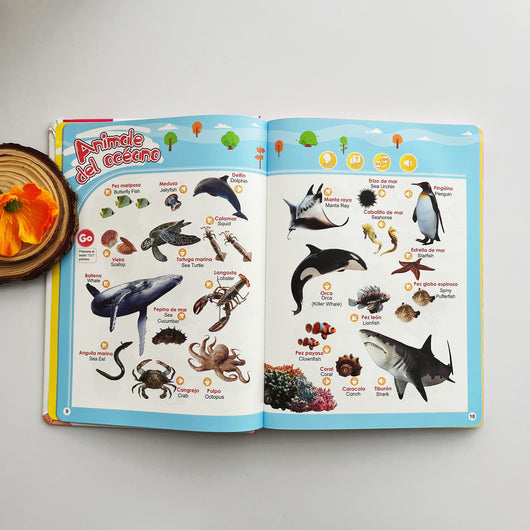 Libro Educativo Interactivo en Español para Niños