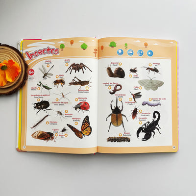 Libro Educativo Interactivo en Español para Niños