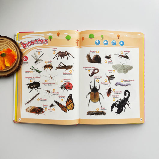 Libro Educativo Interactivo en Español para Niños