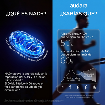 Selerb Suplemento NAD+ para Hombres – Con Liposomal-NAD+, CoQ10, L-Carnitina, L-Arginina, Maca y Ashwagandha Fitness
