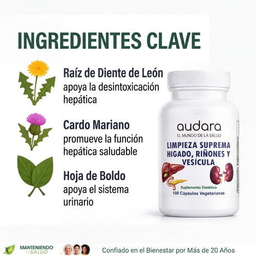 New Life Limpieza Suprema Hígado Riñones y Vesícula, Raíz de Diente de León y Cardo Mariano, 100 Cápsulas Vegetales Suplemento Dietético