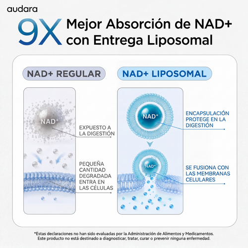 Selerb Suplemento NAD+ para Hombres – Con Liposomal-NAD+, CoQ10, L-Carnitina, L-Arginina, Maca y Ashwagandha Fitness